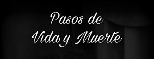 6357c10ec40adc53067c9587_E19334-pasos-de-vida-y-muerte-p-500