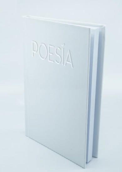 taller poesia diciembre