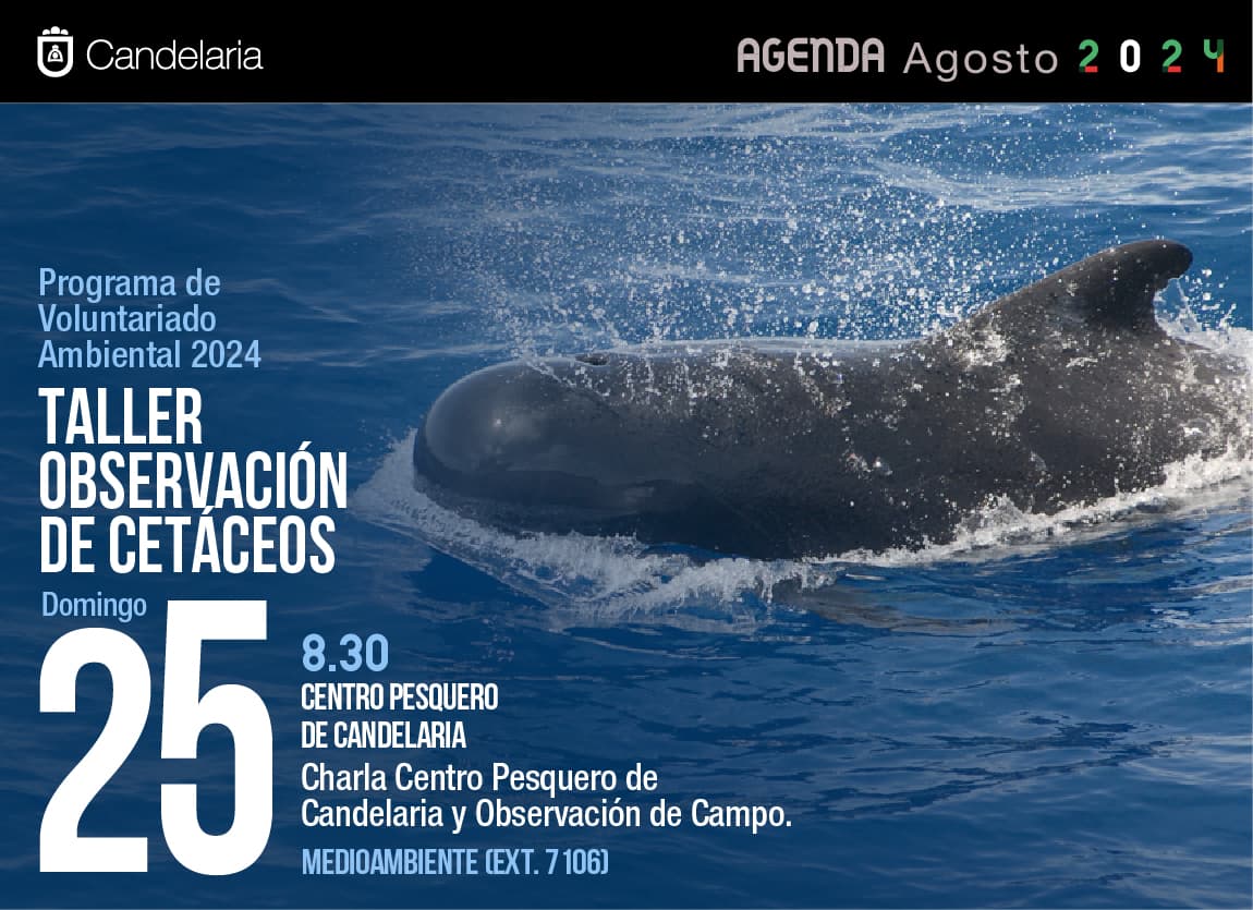 Agenda-Agosto-2024-Pantallas-29 (1)