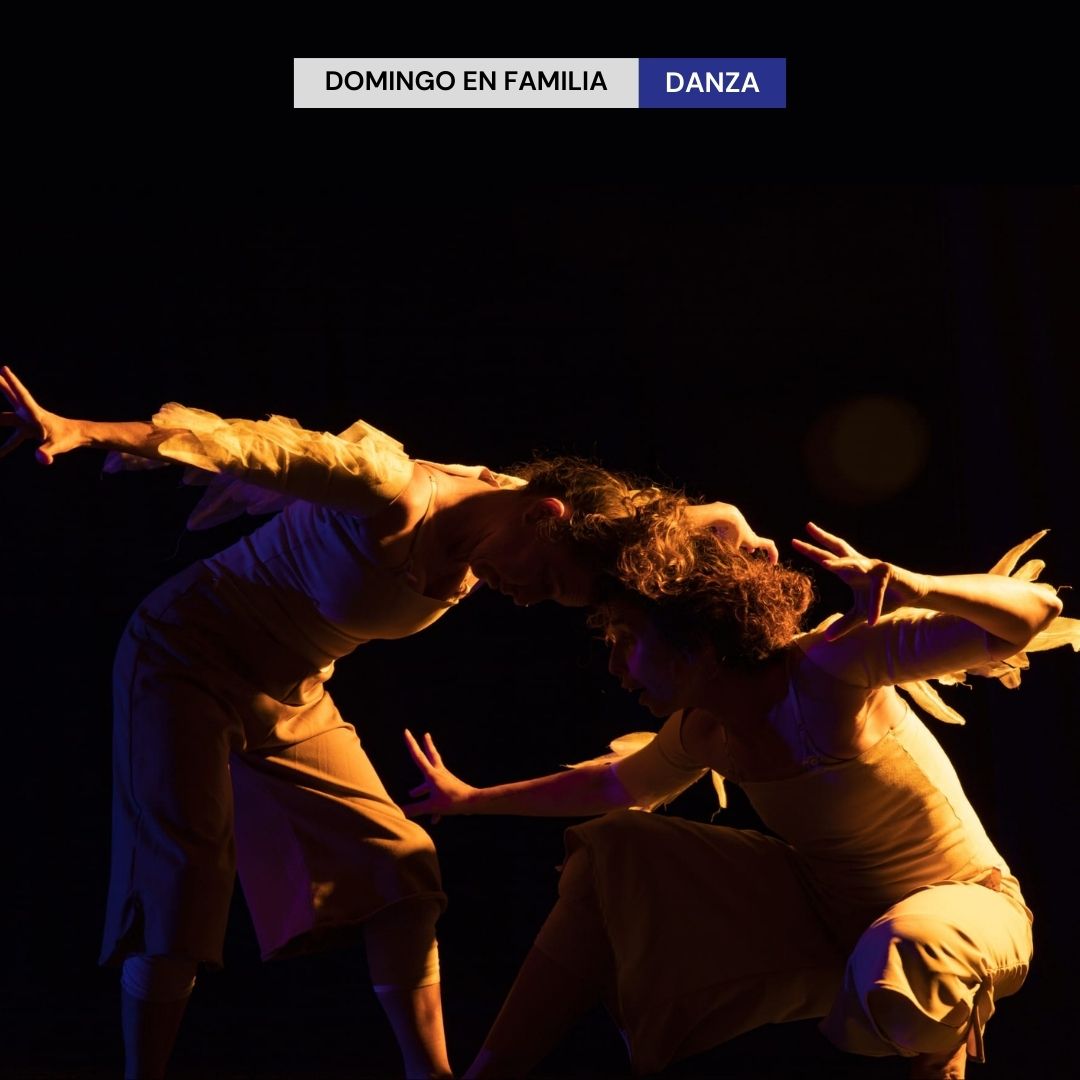cartelawenmasdanzaenfamilia