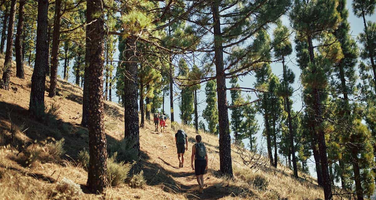 10350_Gran-Canaria-WalkingFestival_g(1)