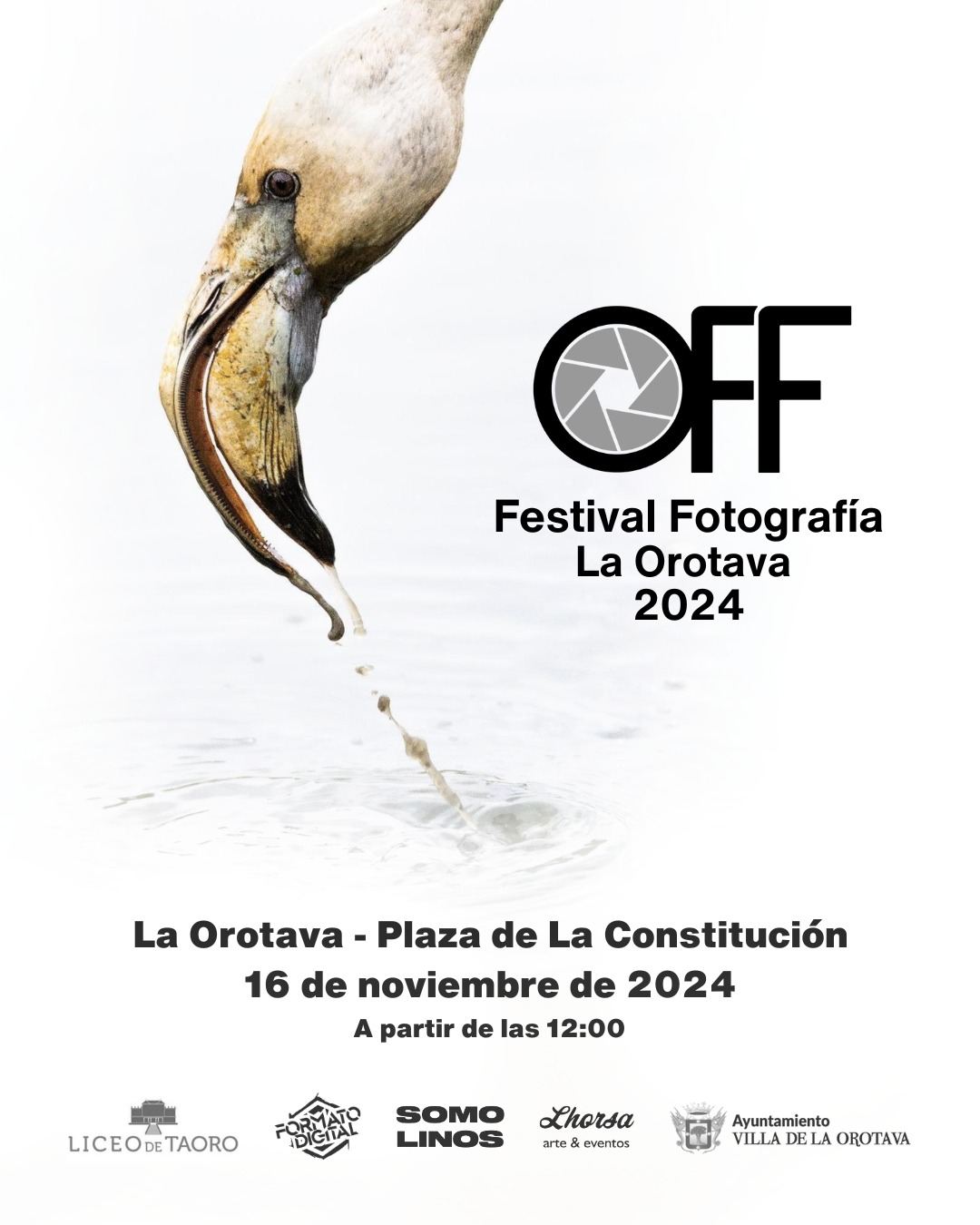 Festival_OFF_2024