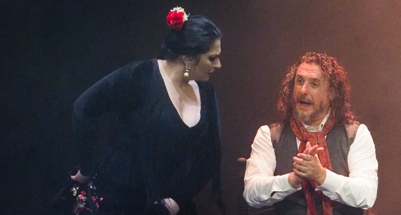 Festival-Flamenco-ROMI (1) (1)