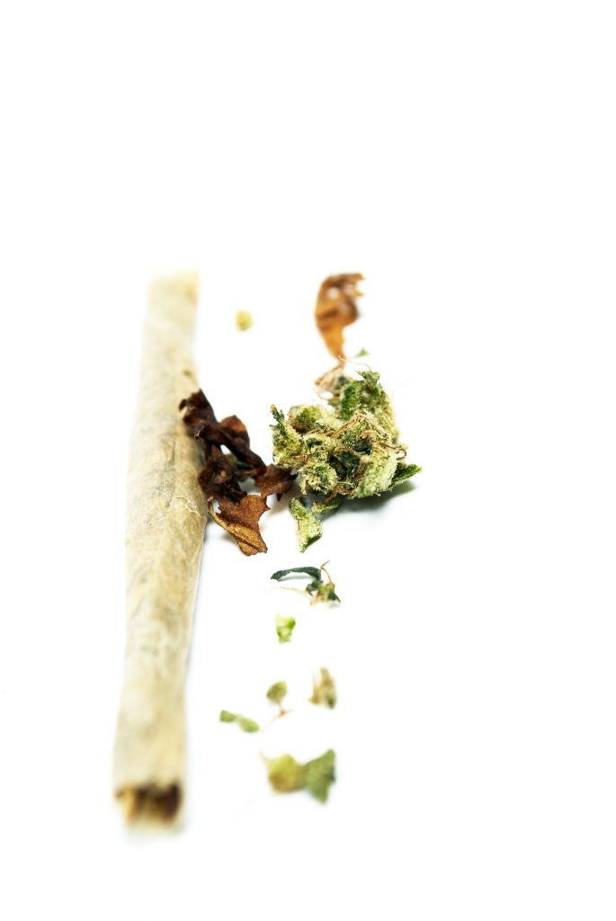 Cannabis