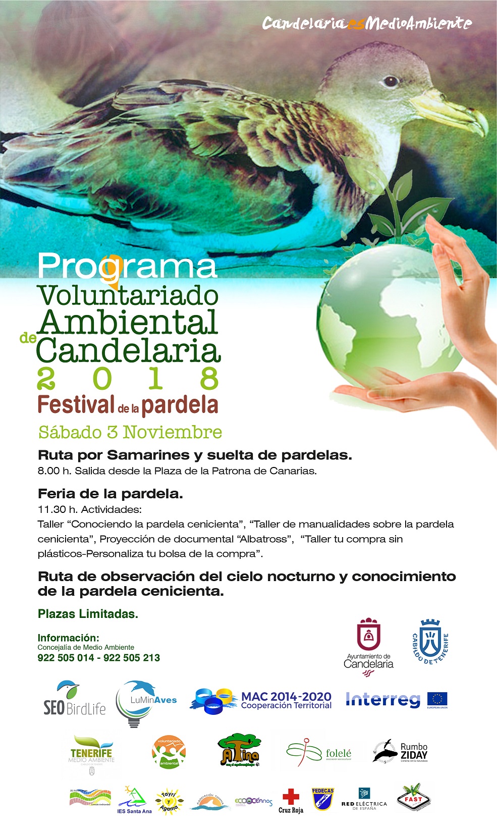 voluntariado ambiental