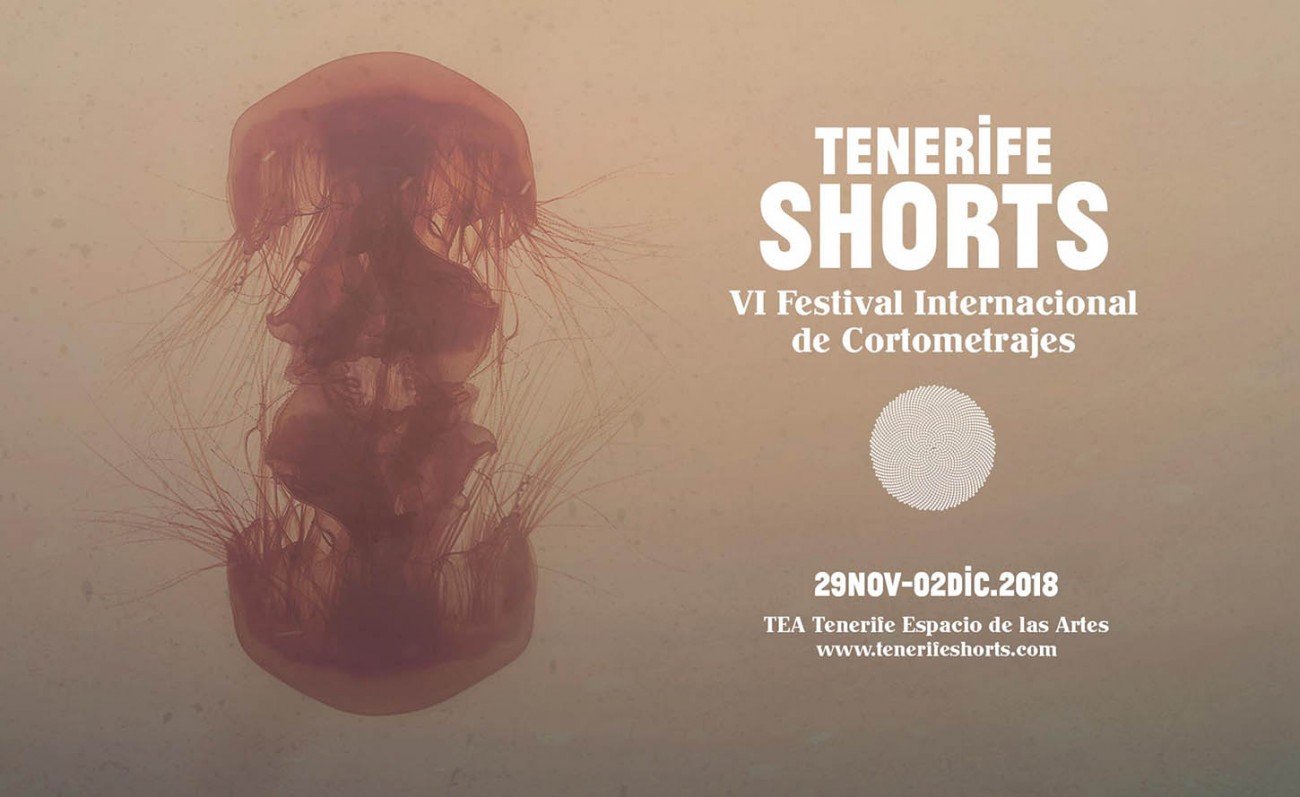 tenerife-shorts