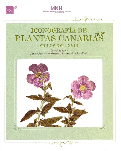 Iconografía-plantas-canarias