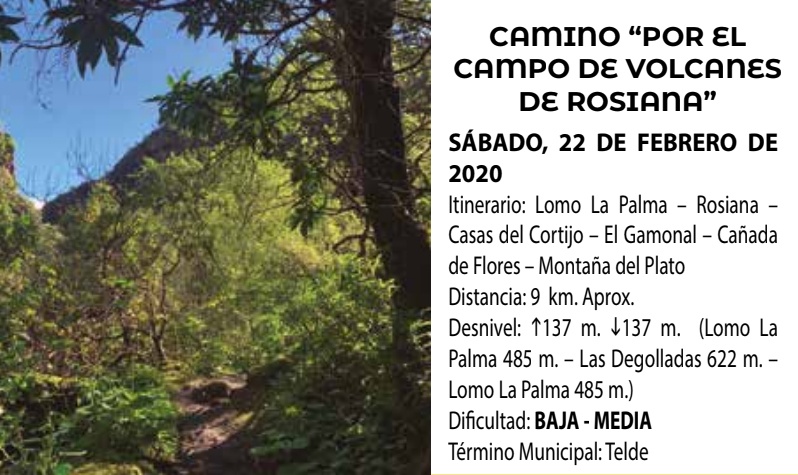 camino-por-el-campo-de-volcanes-de-rosiana