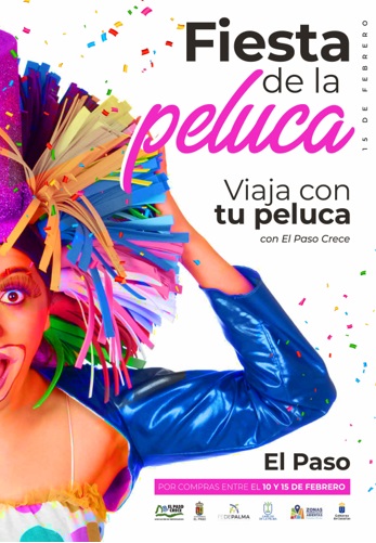 imagen-cartel-viaja-con-tu-peluca