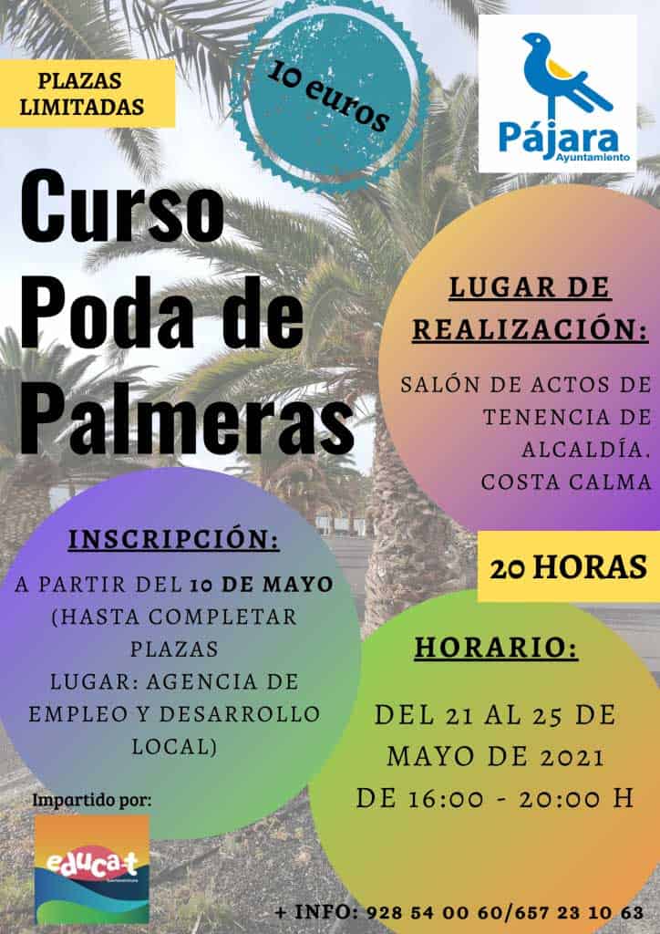 CURSO-PODA-DE-PALMERAS-724x1024