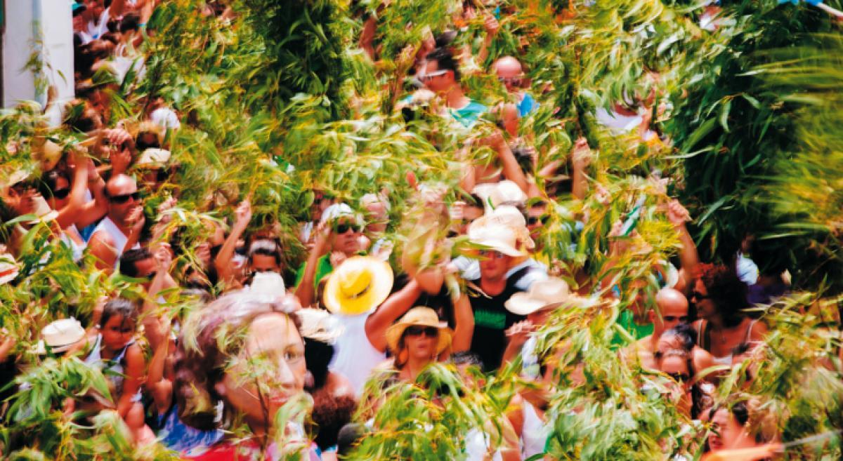 11347_Gran-Canaria-La-Rama_g