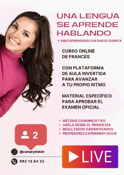 taller de francés profesional